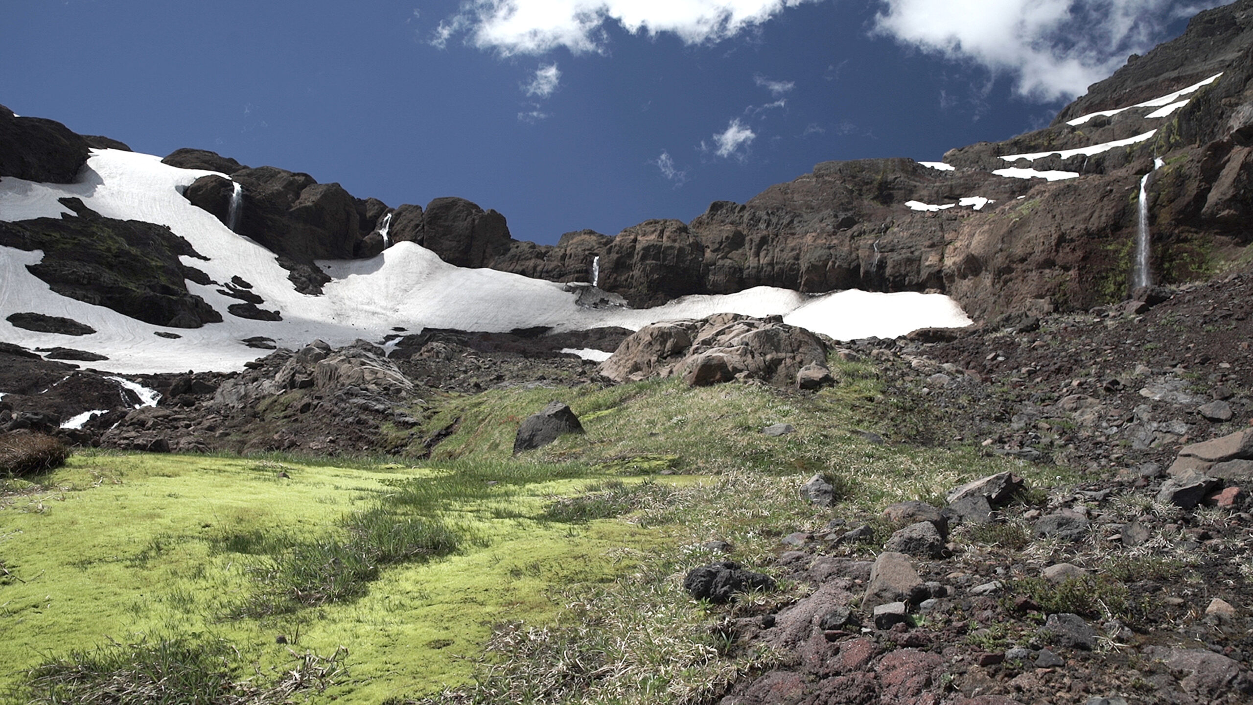 Foschino_SIERRA NEVADA_alta